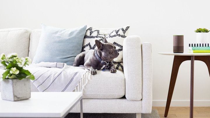 Cosas divertidas para preguntarle a Alexa